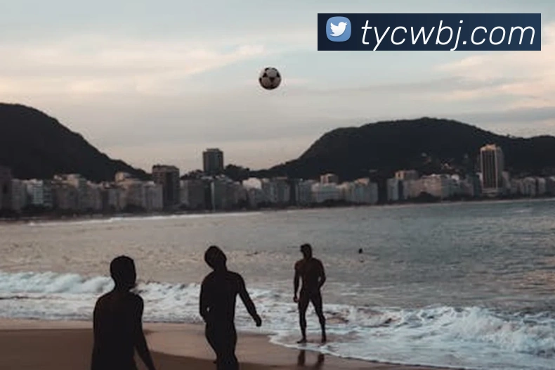 太阳城网站平台生态图